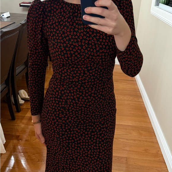 Reformation Elegant Black and Red Floral Dress - Picture 2 of 6